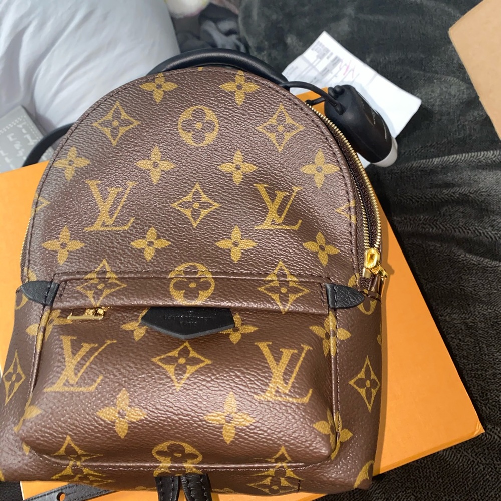 Louis vuitton palm spring mini